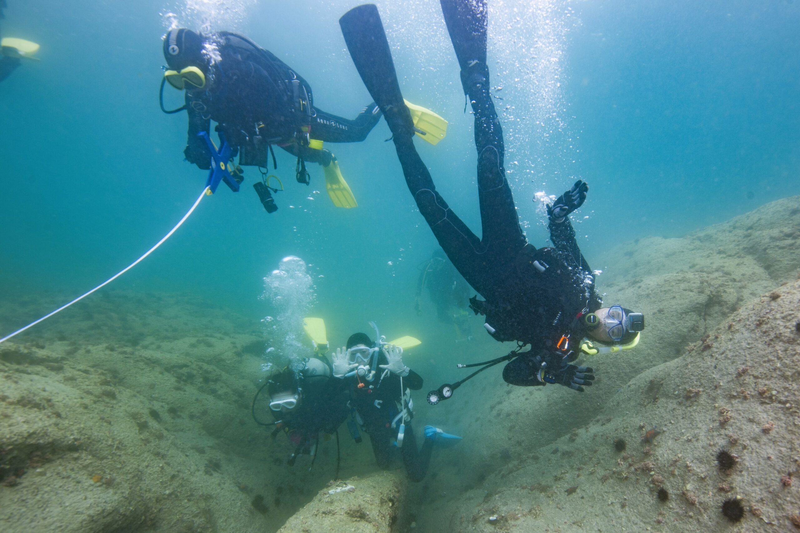 おおつち里海ダイビング'23［Part2］開催！！ | 大槌町観光交流協会