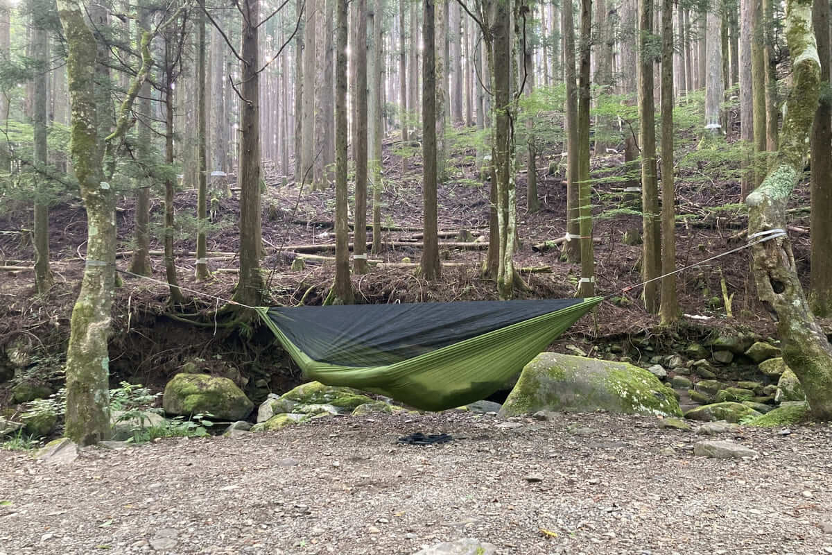 COCOON ウルトラライトモスキートネットハンモック レビュー：誰でも