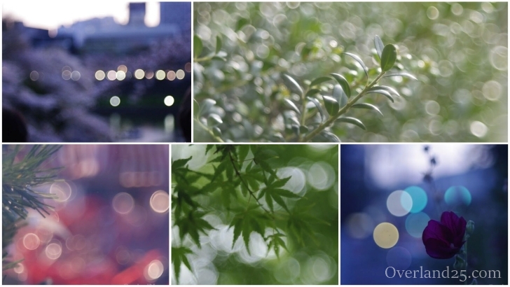 Meyer Gorlitz Primotar F3.5 75mm バブルボケ バブルボケ（玉ボケ）が