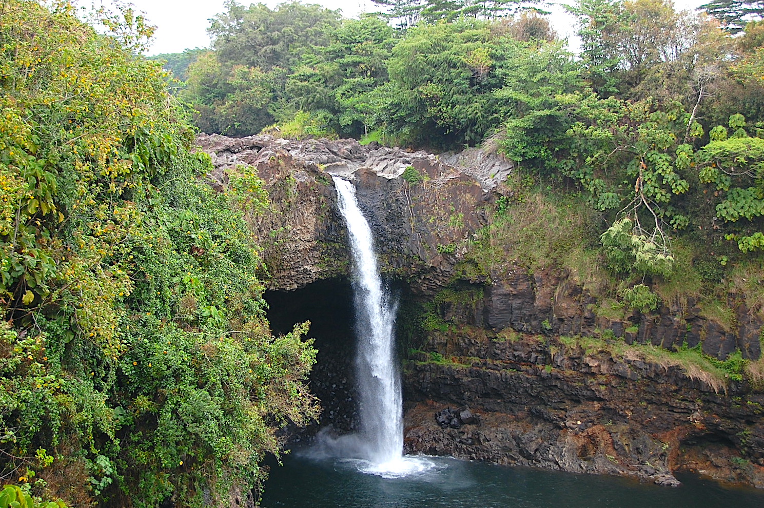 ドラゴンを探そう！ | パシフィックリゾートのホロホロ ハワイ カワラ版