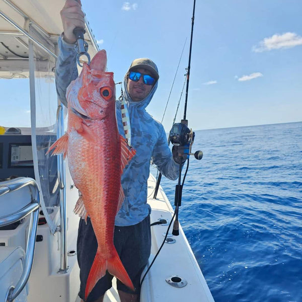 Daiwa Seaborg 300J 400J Electric Reel | Palmarius Outdoors