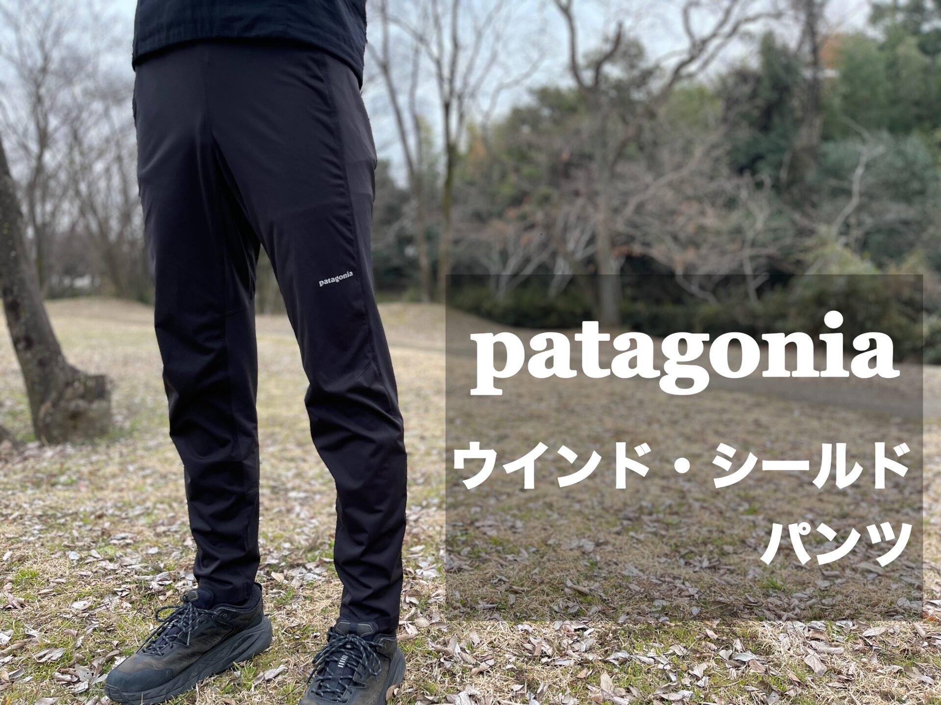 Patagonia【ウインド・シールド・パンツ】レビュー｜パタシンブログ