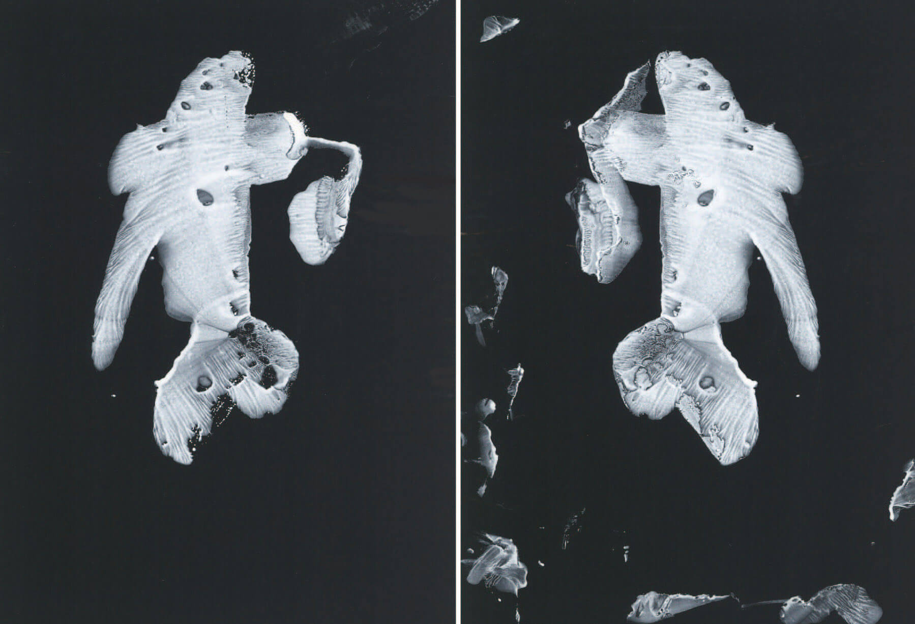 詩人と美術 瀧口修造のシュルレアリスム 図録 チラシ 詩人と美術 瀧口