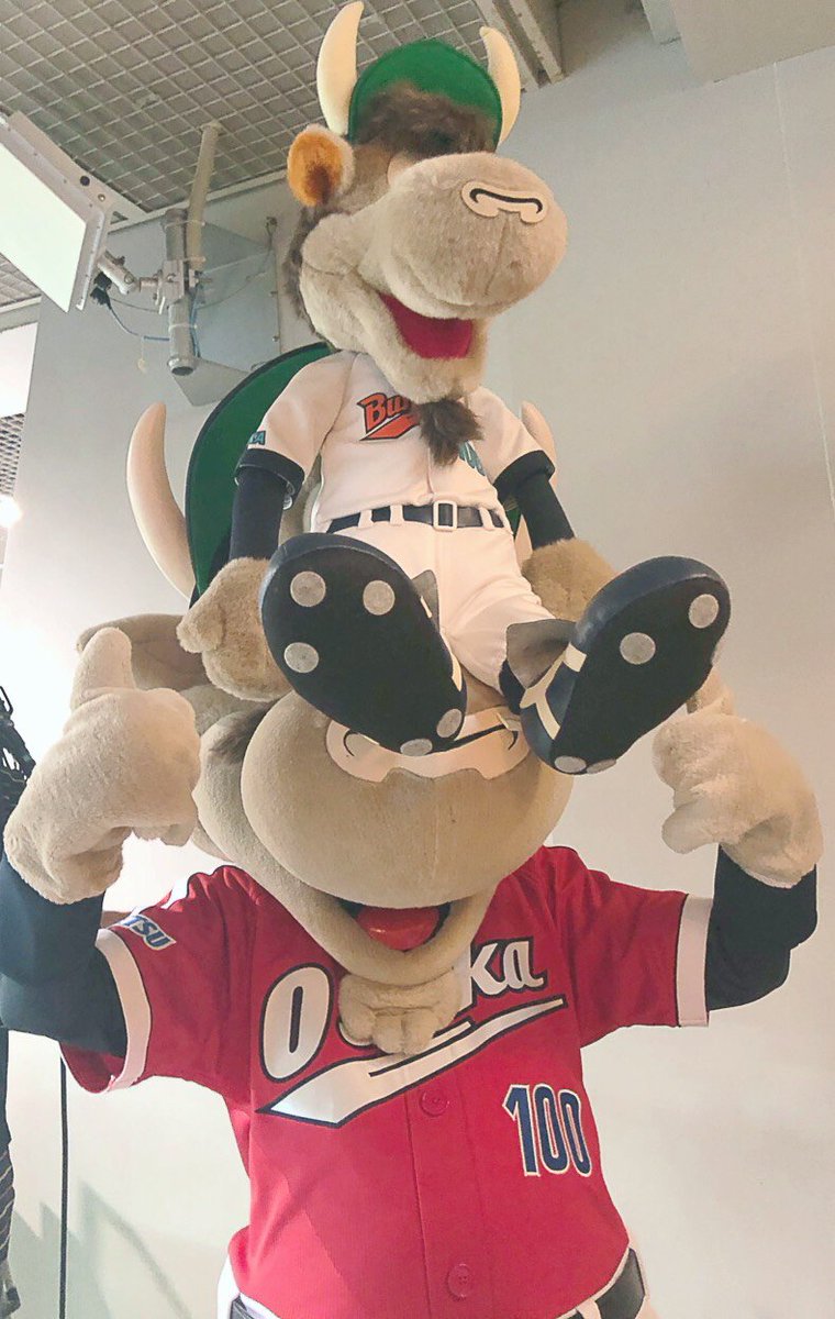 昨日からの3連戦は #KANSAICLASSIC2019 として開催されています✨ この