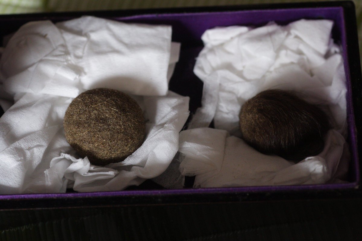 東垣の大日堂では、年に一度の御開帳の時にだけ見られる物があります