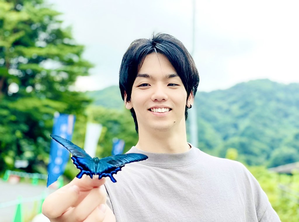 綺麗な蝶々がいました🦋