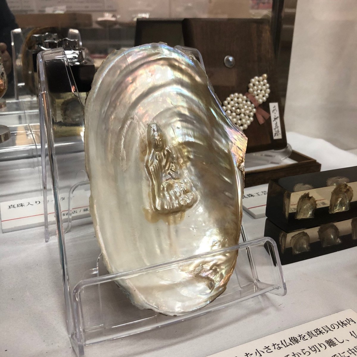 仏像真珠。鉛で作った仏像を真珠貝にいれ、真珠層をまとわしたもの