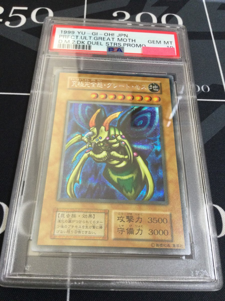 遊戯王 入荷情報】 【PSA10】ホーリーナイトドラゴン シークレットレア