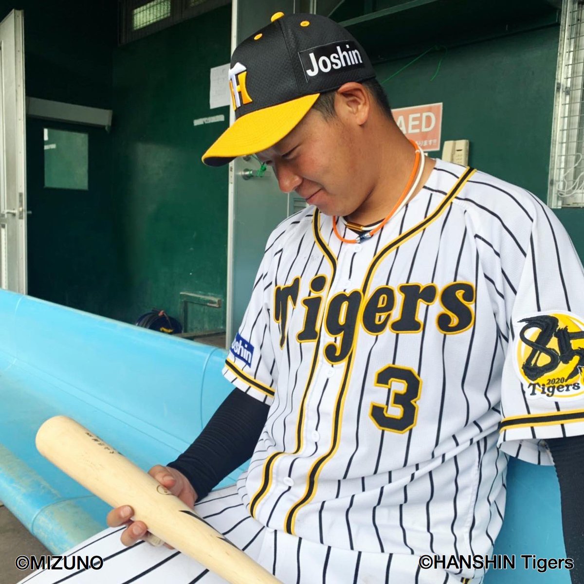 激撮！ #大山悠輔 選手！ ＼ #阪神タイガース の担当者が、バットを