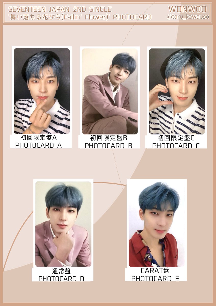 SEVENTEEN セブチ 舞い落ちる花びら Fallin' Flower フォトカード