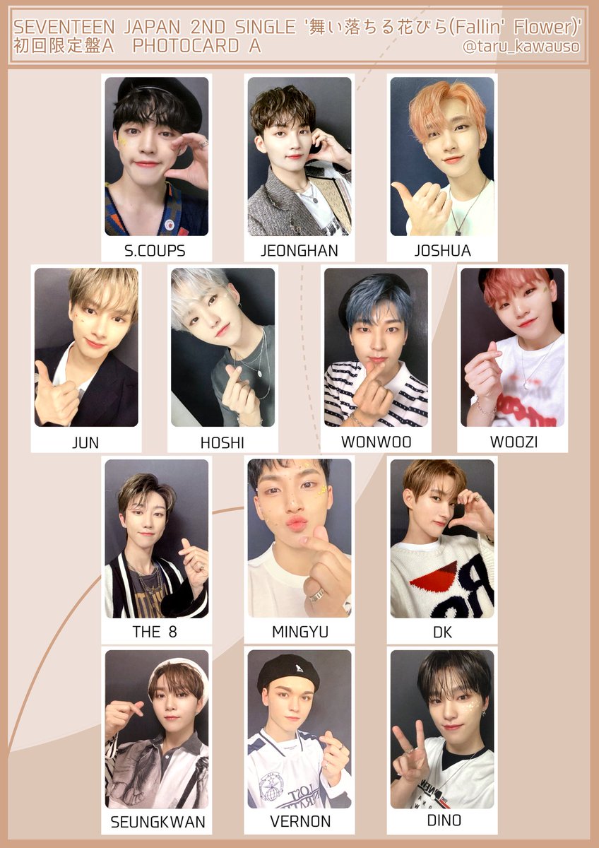 SEVENTEEN 舞い落ちる花びら 🌸 SEVENTEEN - Fallin' Flower Photocard