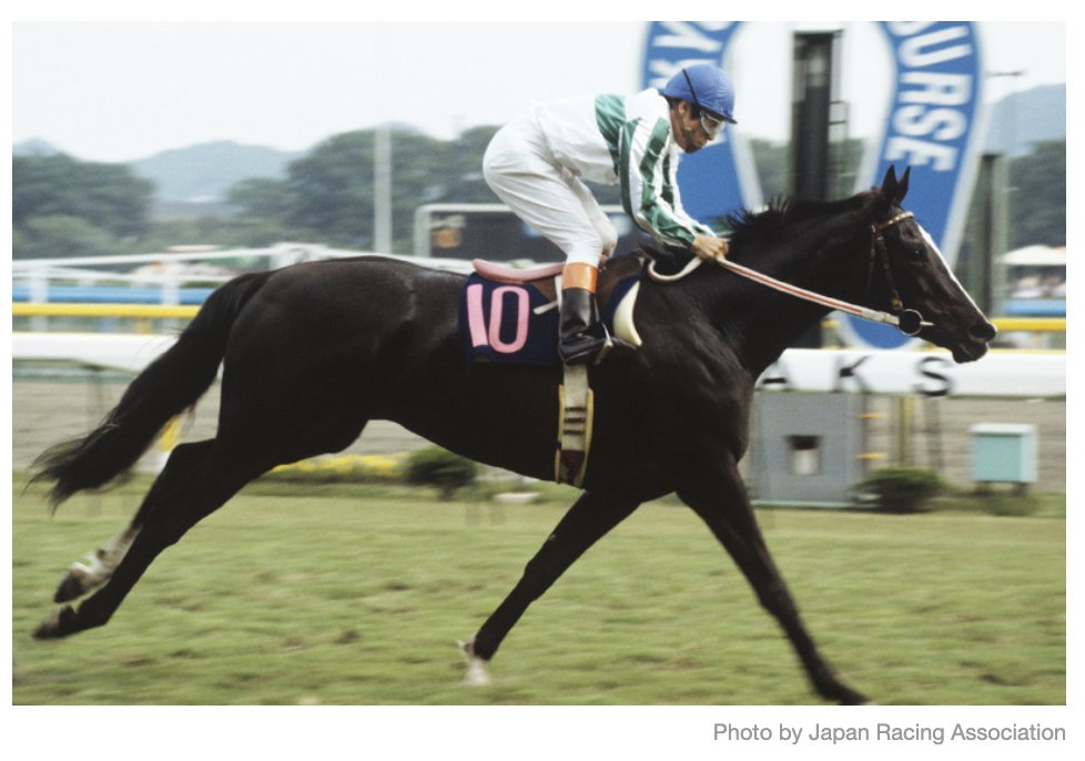 世界名馬紹介】 〝メジロラモーヌ〟🇯🇵 ＼ 生年：1983年 性別：牝馬