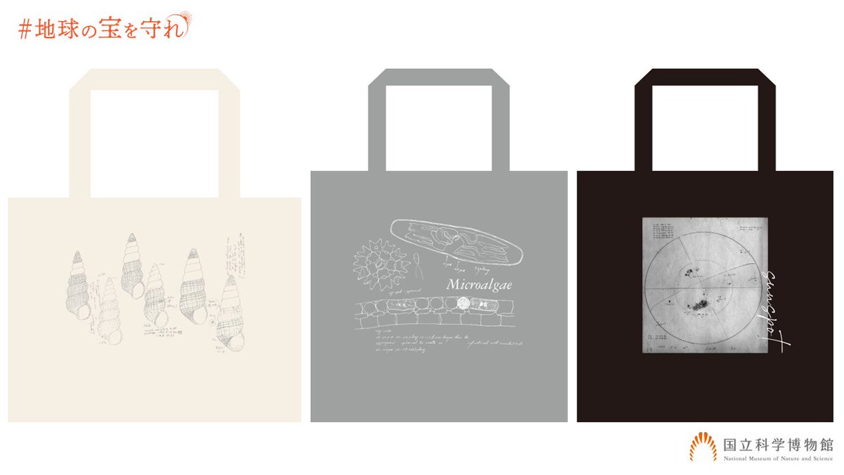 初公開💫 リターン（オリジナルグッズ）のデザイン案 ＼ お待たせしま