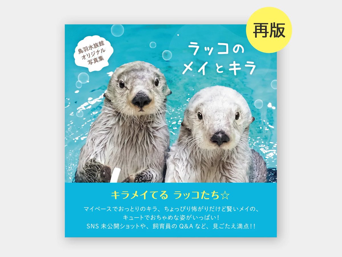 さらに、昨年販売した大人気写真集「ラッコのメイとキラ」の再版も予約