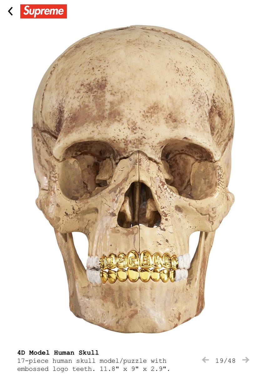 Supreme are dropping a “4D Model Human Skull”😳