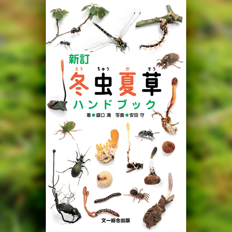 みなさま待望の【新訂 冬虫夏草ハンドブック】—— /／ 📢 見本が入り