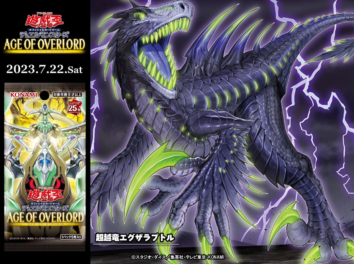 入手困難 co+fe オクトゴナルプレート 2枚 アスティエ ハグオーワー 雅