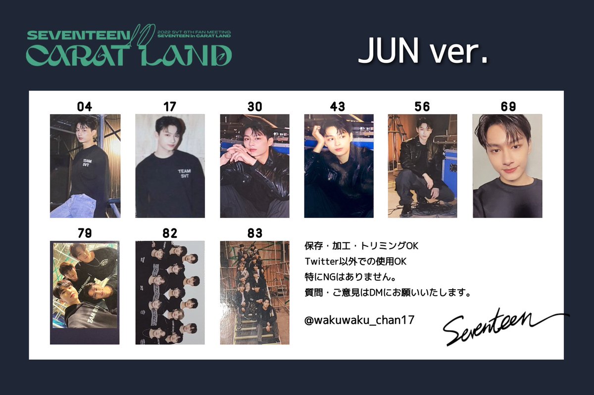 SEVENTEEN セブチ CARAT LANDケレン トレカ 一覧 CaratLand