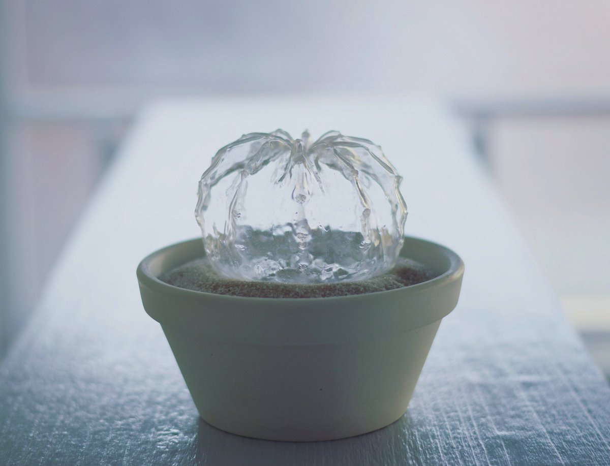 Echidna(エキドナ)の透明サボテンは樹脂製の造形作品ですよ。 中が空洞