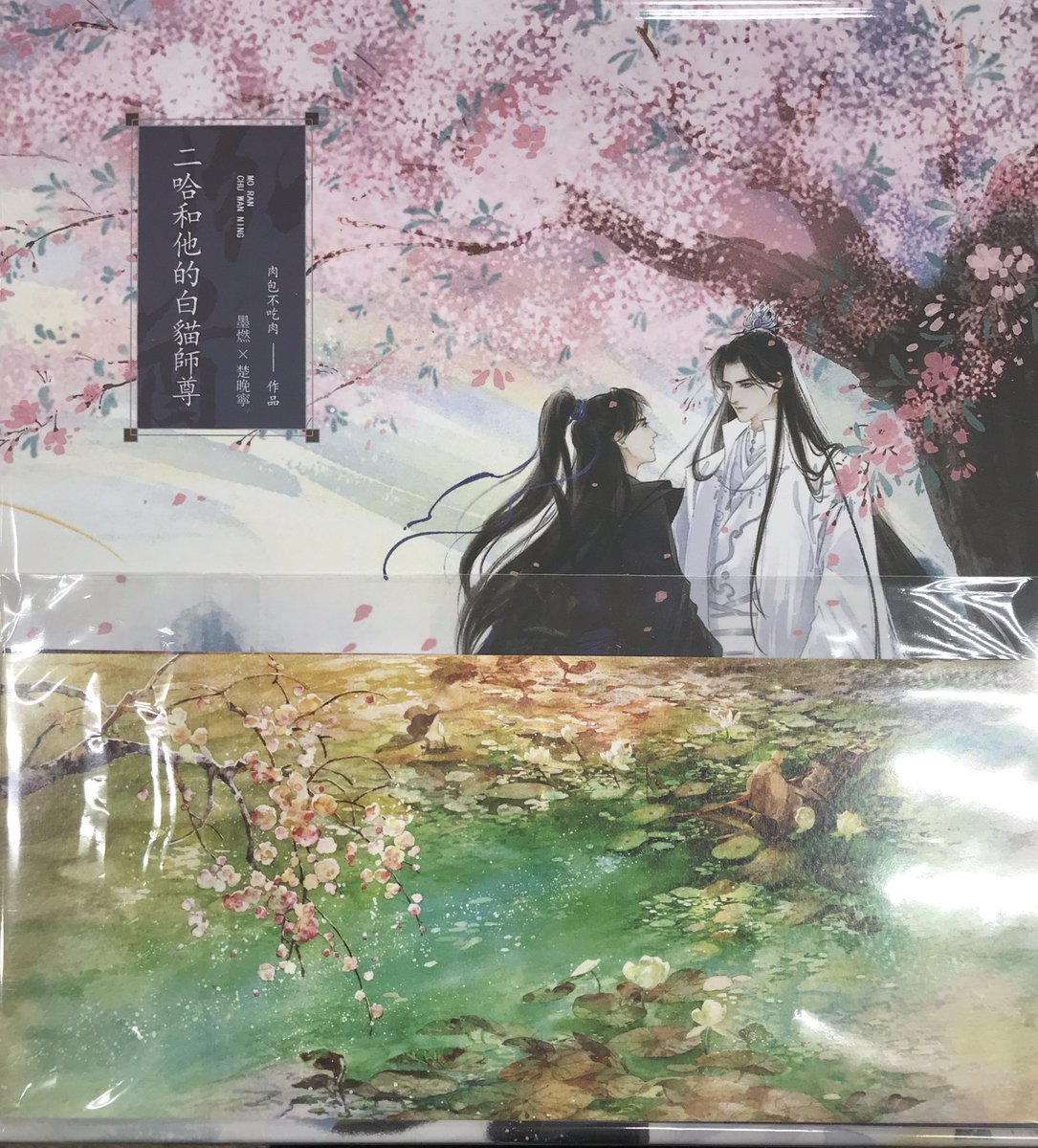 そして『二哈和他的白猫師尊 台湾繁体字版 全巻BOXセット（特典なし