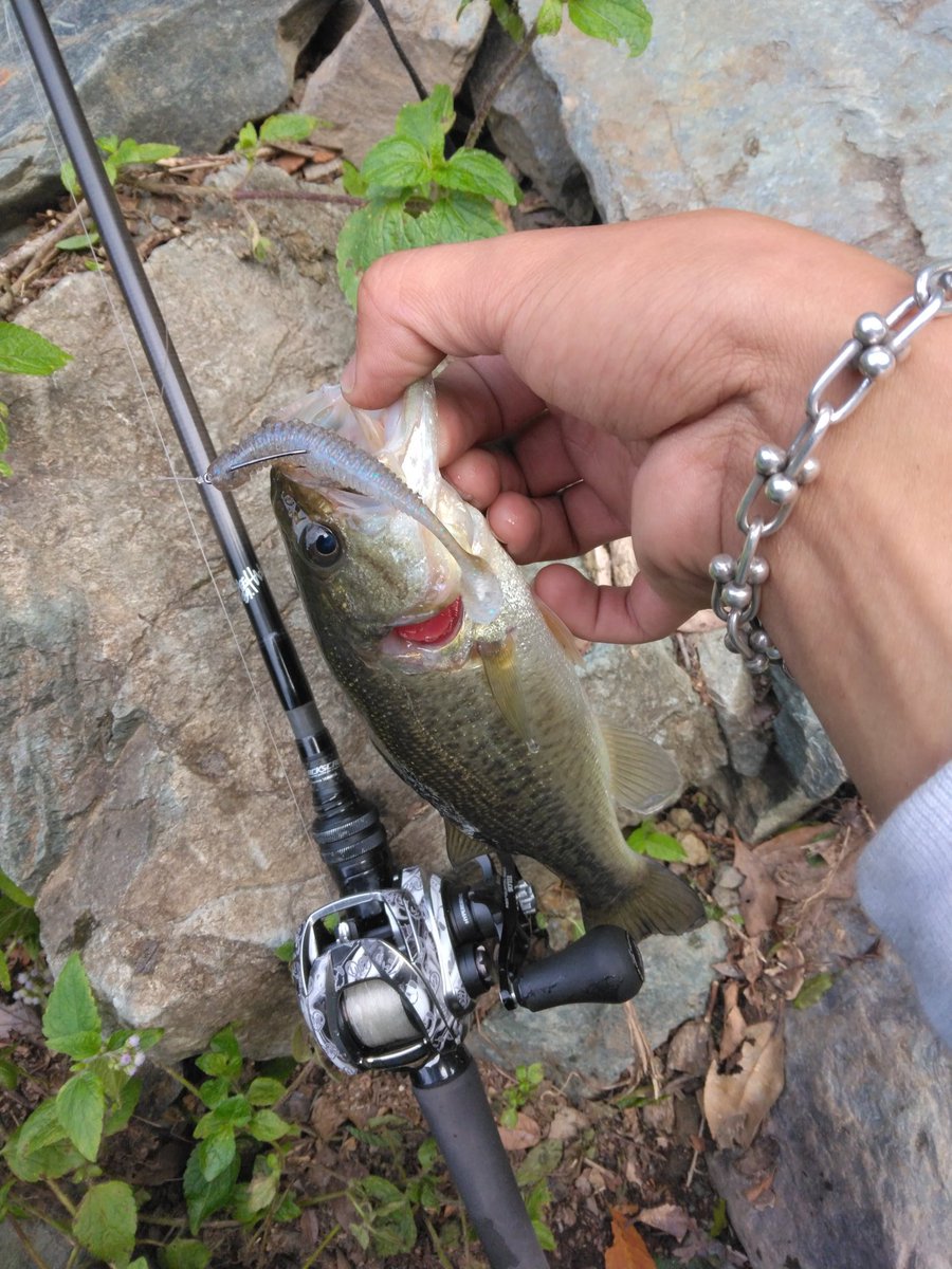 🐼バス釣り名人🐼 (@goGx43gLxP6Q7uk) / Posts / X