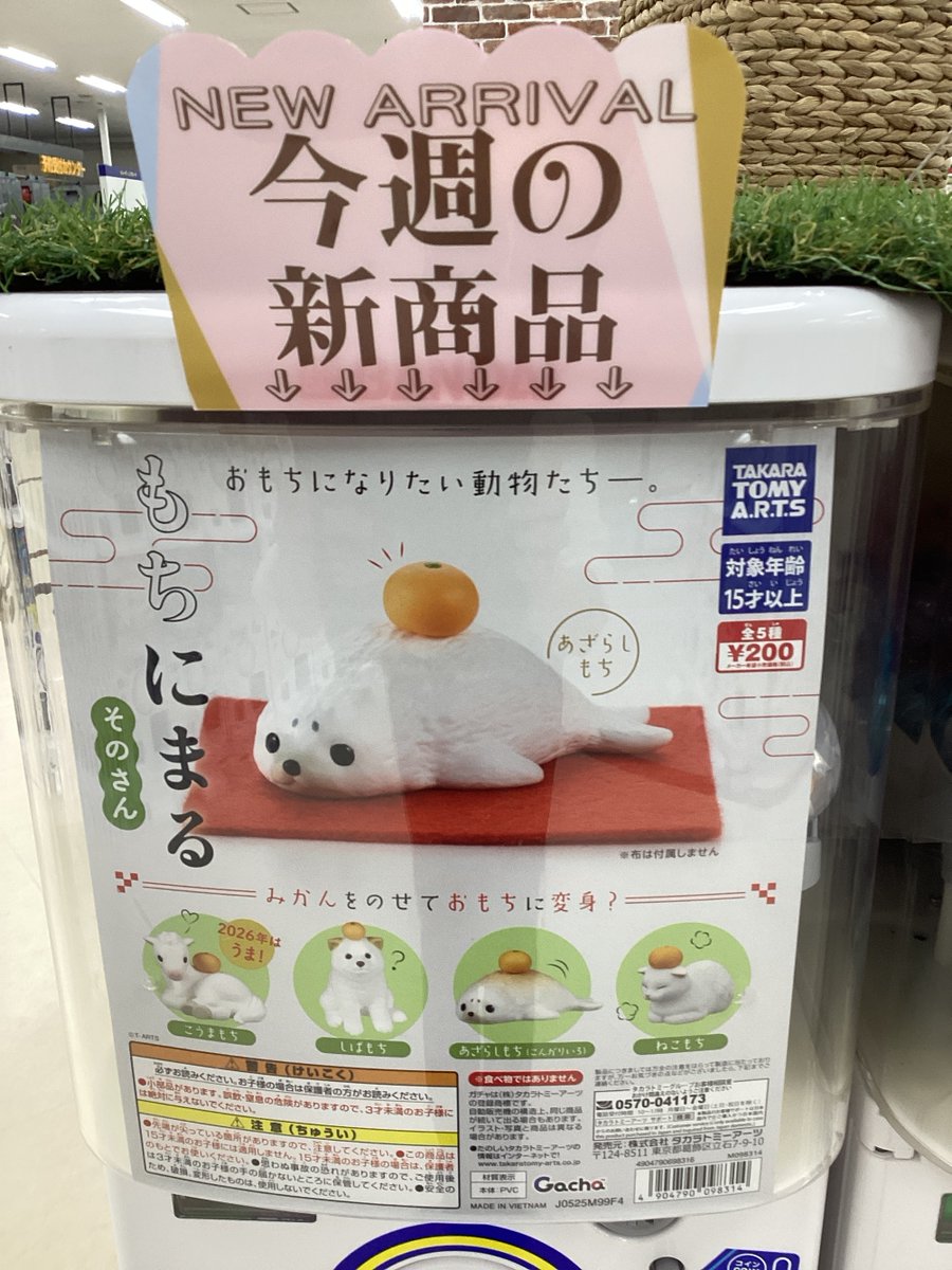 G5xtbKMakAABXZ-.jpg?format=jpg