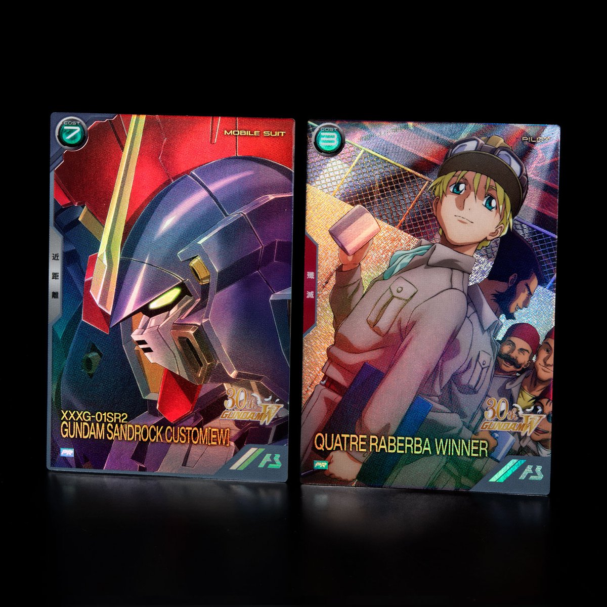 🪽エンドレスワルツプロモーションカードパック&オリジナルストレージ