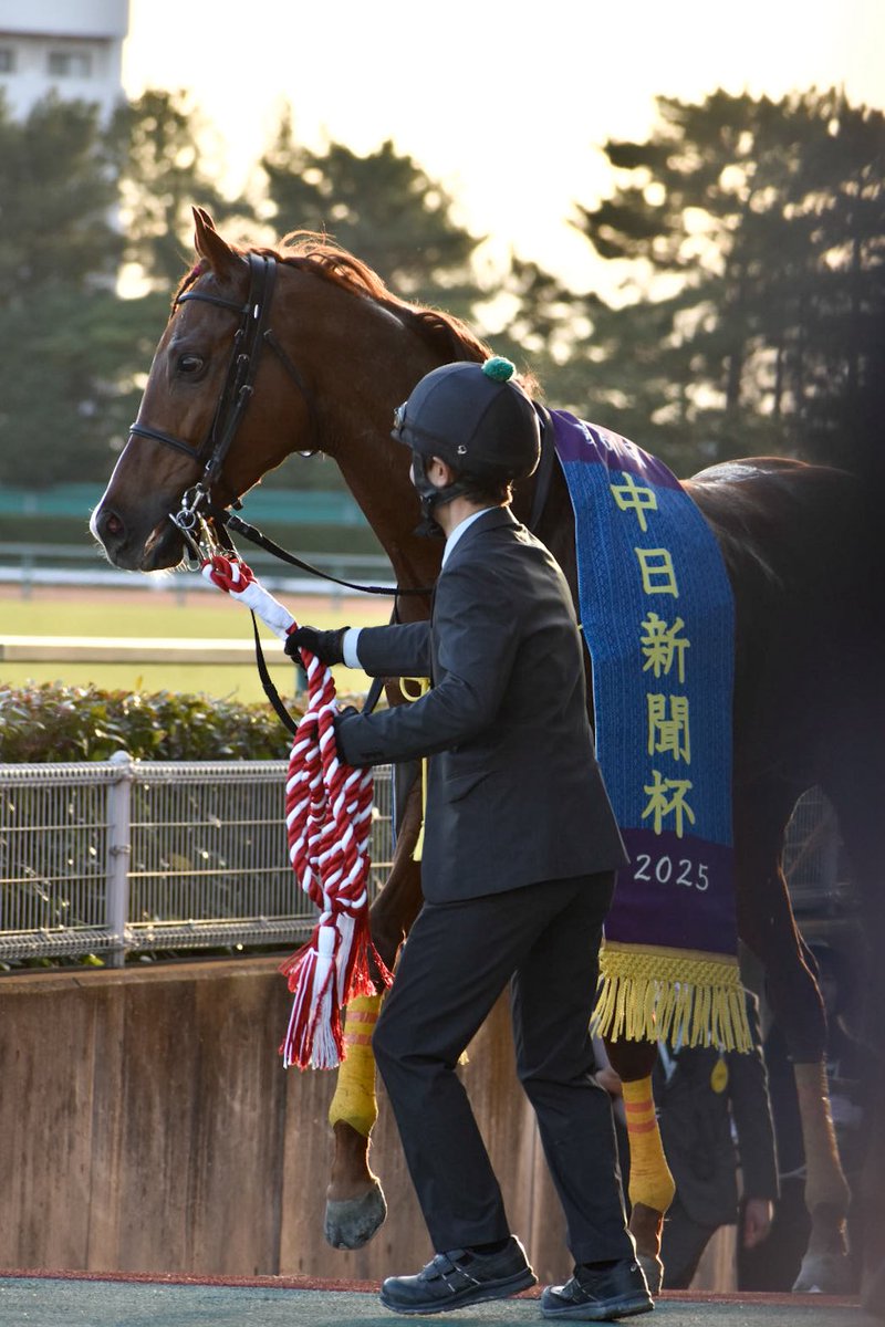 シェイクユアハート