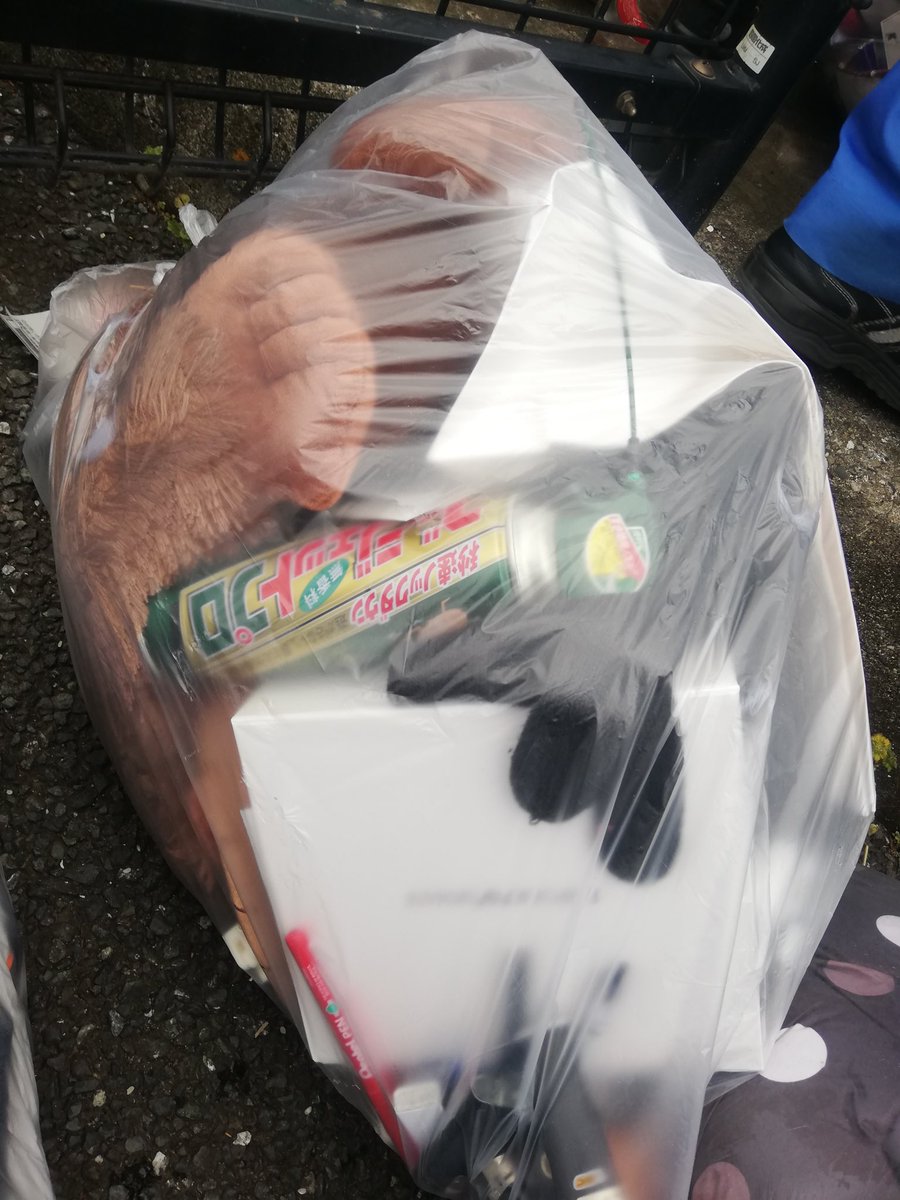 今日のごもトリビア】 年末になってくると大掃除で一気に片付けるのか