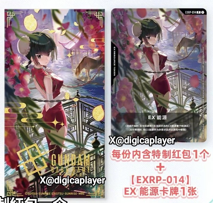 中国語版 限定 2026 お年玉袋+EXリソース EXRP-014 王留美 CHI Limited