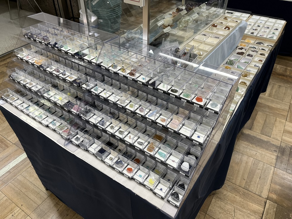 本日より、有隣堂伊勢佐木町本店にて、化石鉱物フェア開催です。もはや