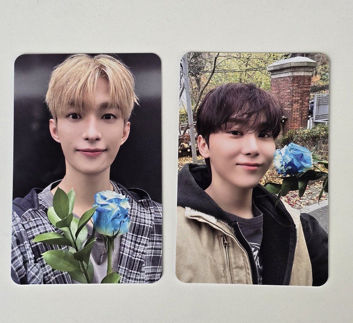 SEVENTEEN DXS スングァン サノク トレカ seventeen スングァン