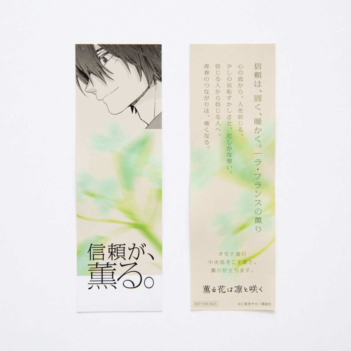 19巻発売まであと3日！ 信頼が、薫る。 夏沢 朔｜ラ・フランスの薫り