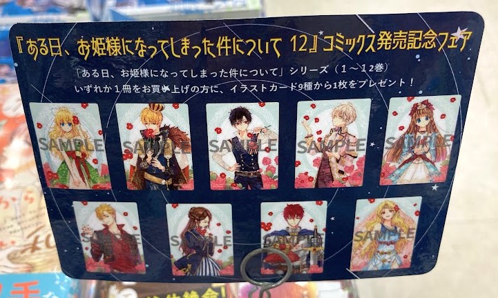 📚書籍フェア情報📚】 『ある日、お姫様になってしまった件について12