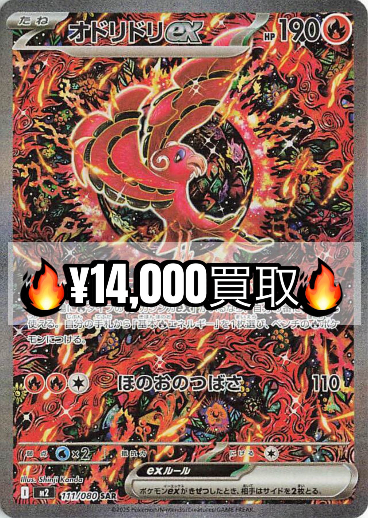 オドリドリSARカード SAR オドリドリ オドリドリex デザイン ポケモン