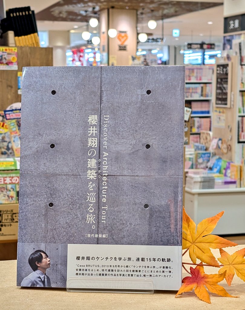 現代建築家シリーズ13冊セット(全15巻の内)(美術出版社) 現代建築家