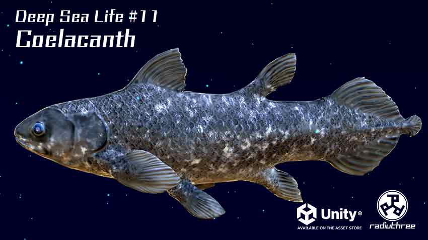 寿命は約100年という長命な深海魚「シーラカンス」。3DモデルをUnity