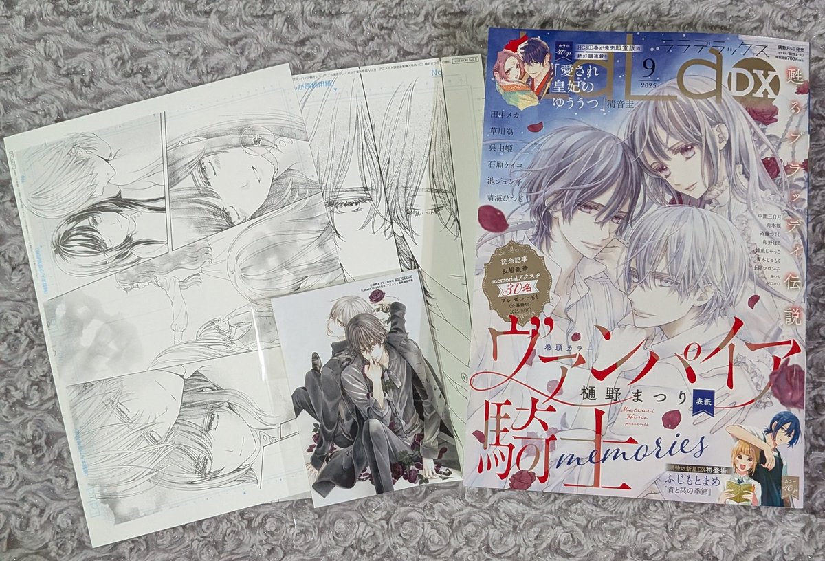 年内最終価格】ヴァンパイア騎士 他 まとめ売り 最終回 扉絵 表紙
