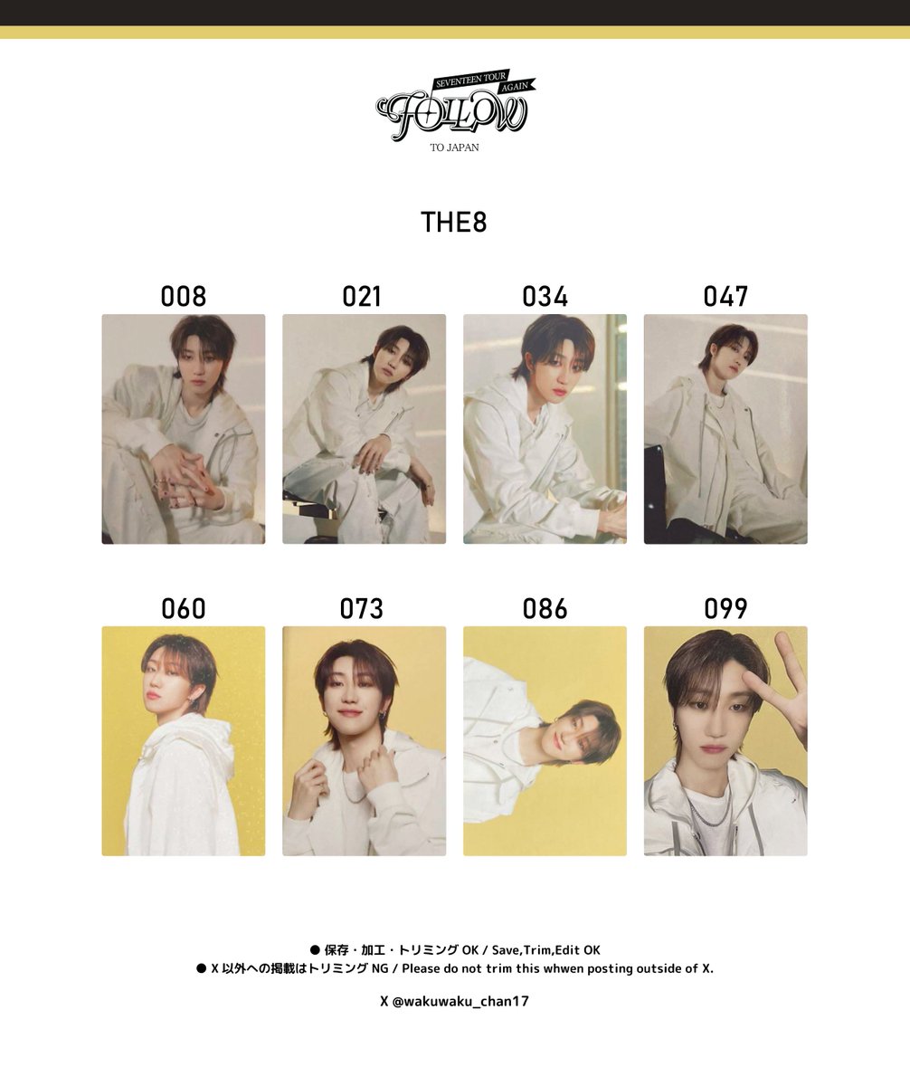 SEVENTEEN TOUR [FOLLOW] AGAIN TO JAPAN PHOTO CARD ◇ THE8