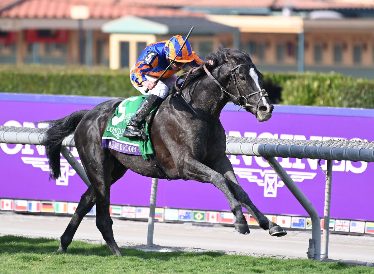 海外競馬】 🇮🇪クールモアスタッドの