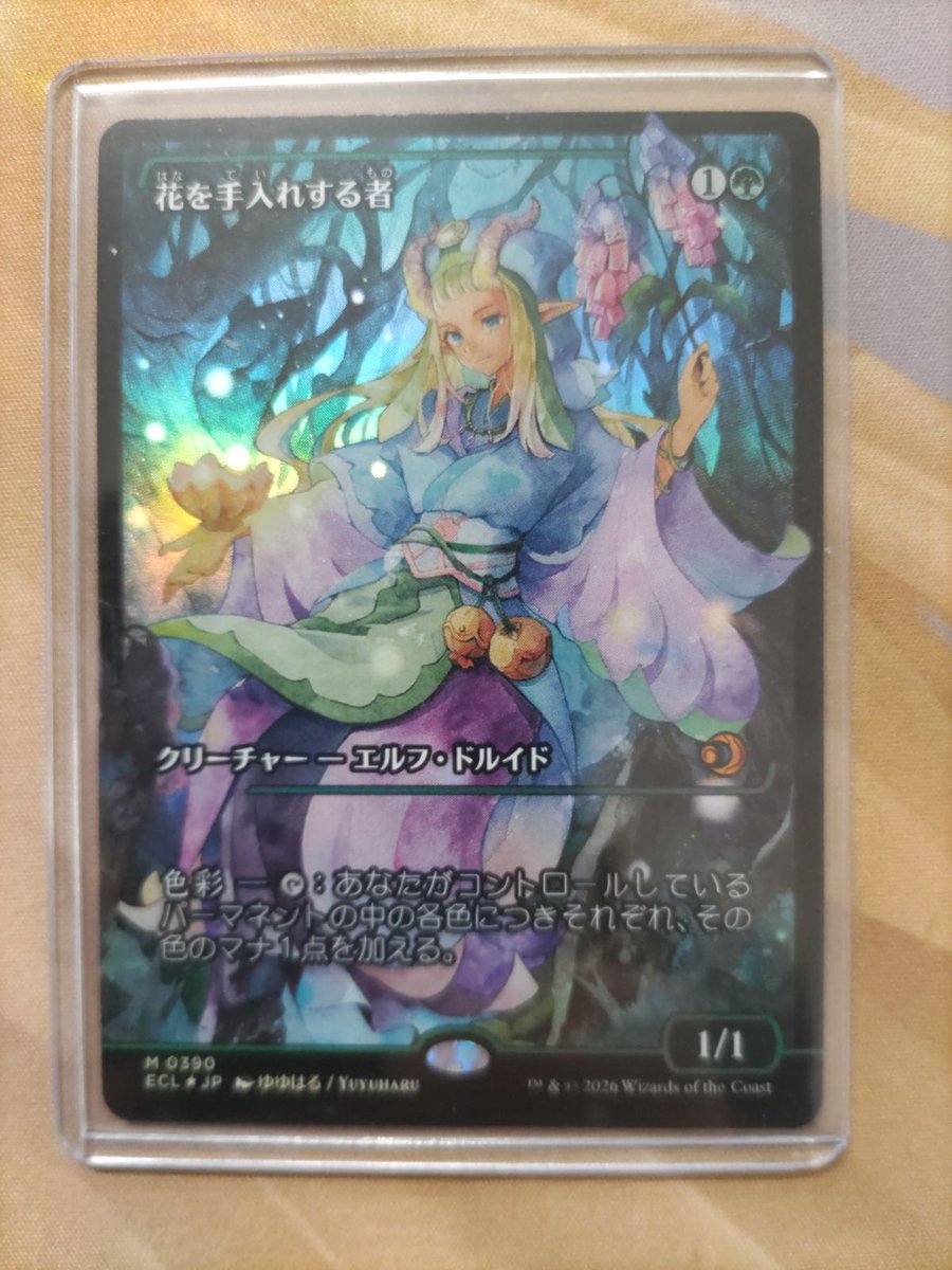 蓄積した知識】【初版】【旧枠】【foil】 NEM 蓄積した知識 日本語