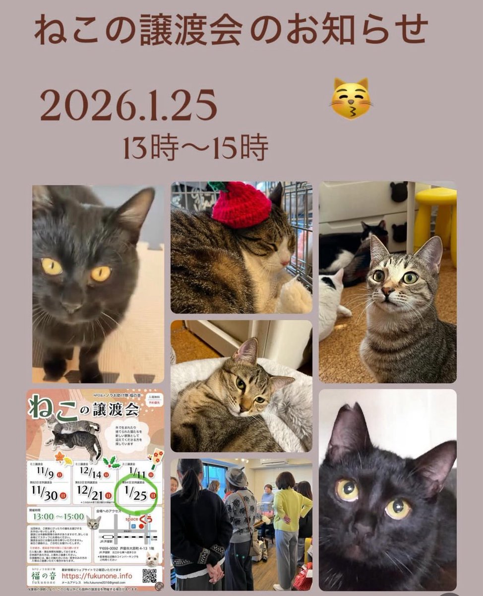 😈悪の華👿 (@akunohana24) / Posts / X