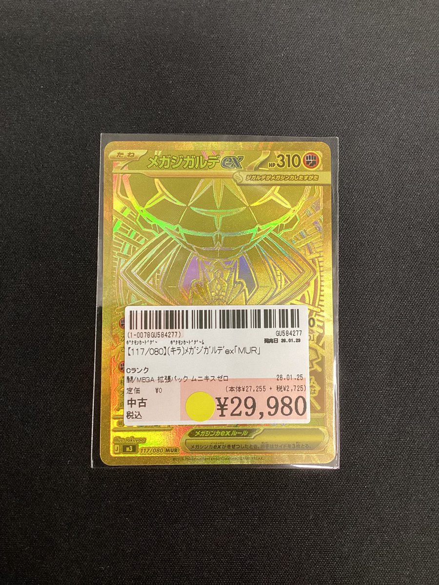 117/080】MUR メガジガルデex (傷あり品)買取させていただきました
