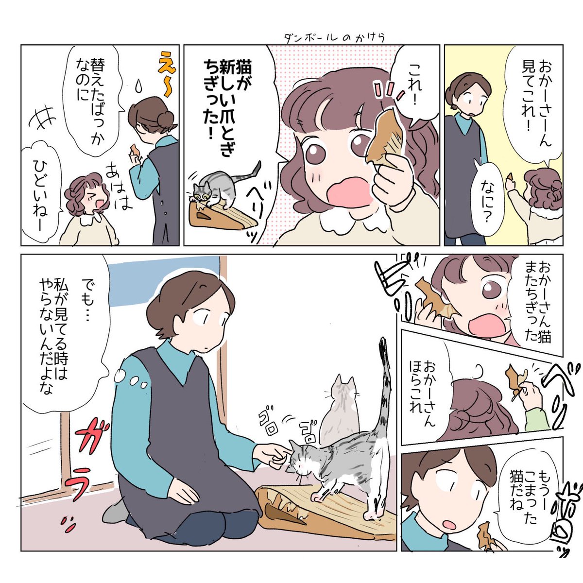 Post by さざなみ🌟 on X: 日常🐈