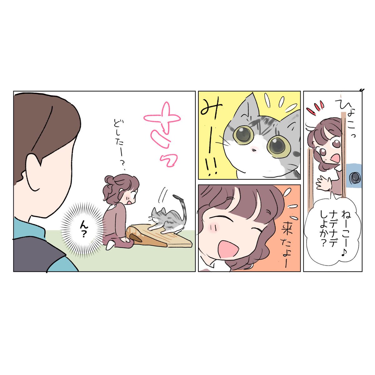 Post by さざなみ🌟 on X: 日常🐈