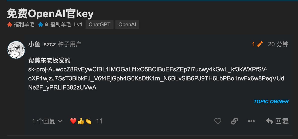 6！OpenAI 官Key，能用~快 sk-proj