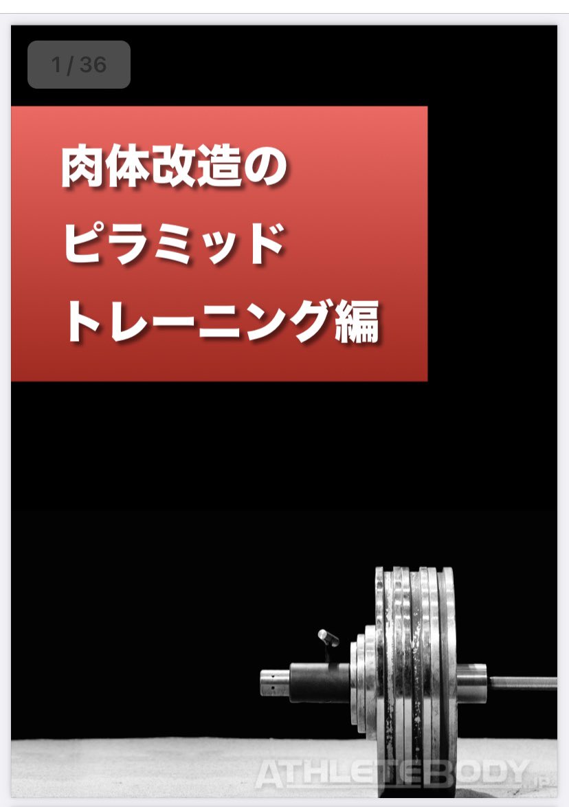 肉体改造のピラミッドの書籍化の前にミニ電子版PDFを作りました
