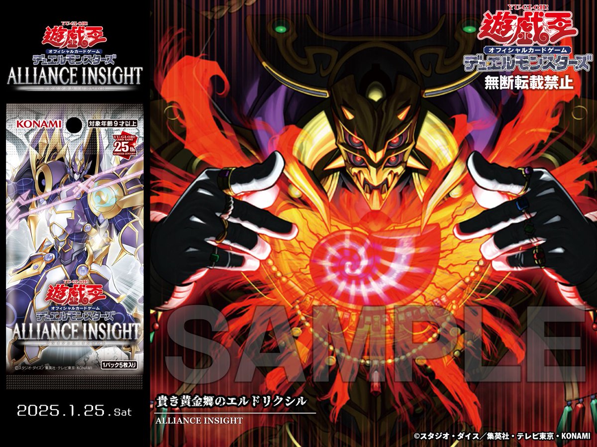 ⋅⋆⋄✧ 𝘼𝙇𝙇𝙄𝘼𝙉𝘾𝙀 𝙄𝙉𝙎𝙄𝙂𝙃𝙏 𝟐𝟎𝟐𝟓.𝟏.𝟐𝟓 𝐒𝐚𝐭