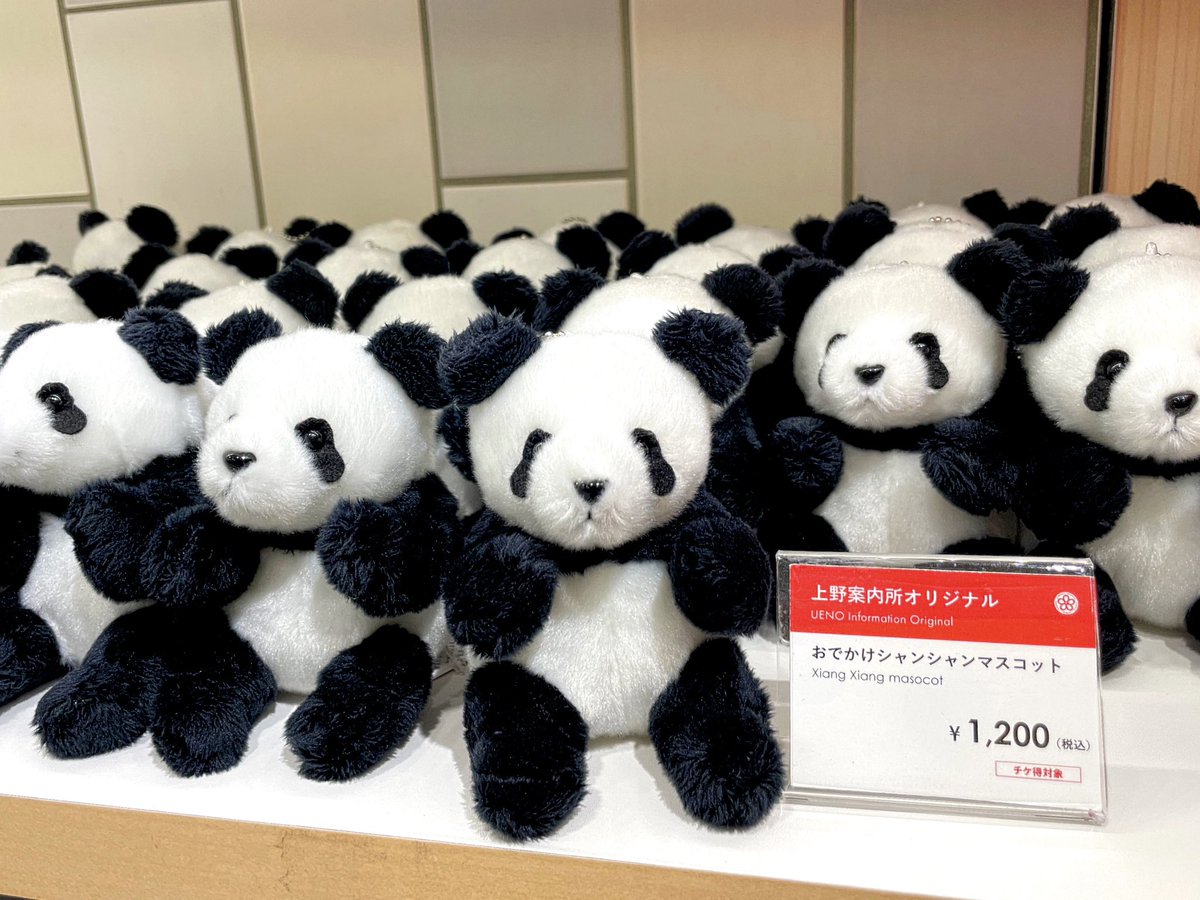 おでシャン 再入荷🐼／ 大変お待たせいたしました！ 1月30日（木）13