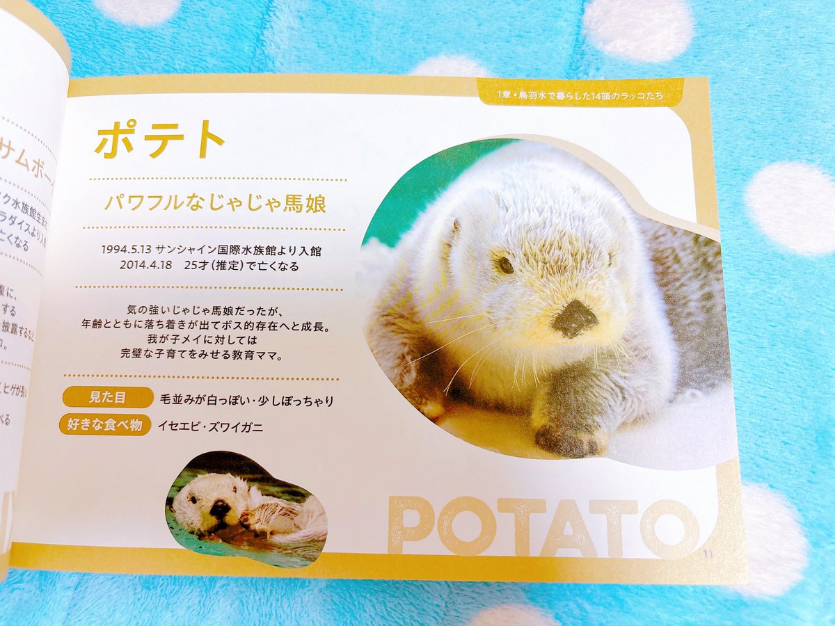 ポテト 懐かしいです😭